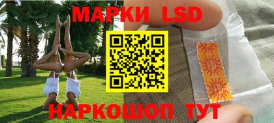 шишки Будённовск