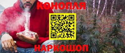 шишки Будённовск