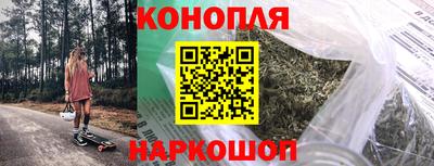 шишки Будённовск