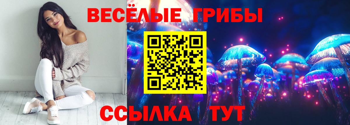 Галлюциногенные грибы MAGIC MUSHROOMS  Вход с VPN  Луга 